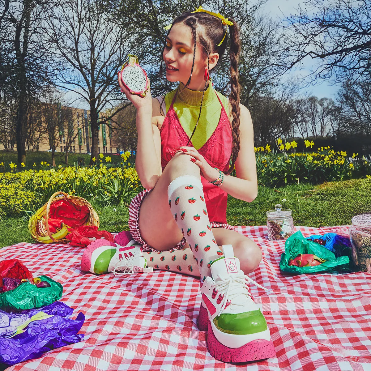 Dazzleberry Dragon Trainers