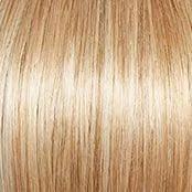 Prodigy Wig by Gabor | Synthetic (Lace Front Traditional Cap)