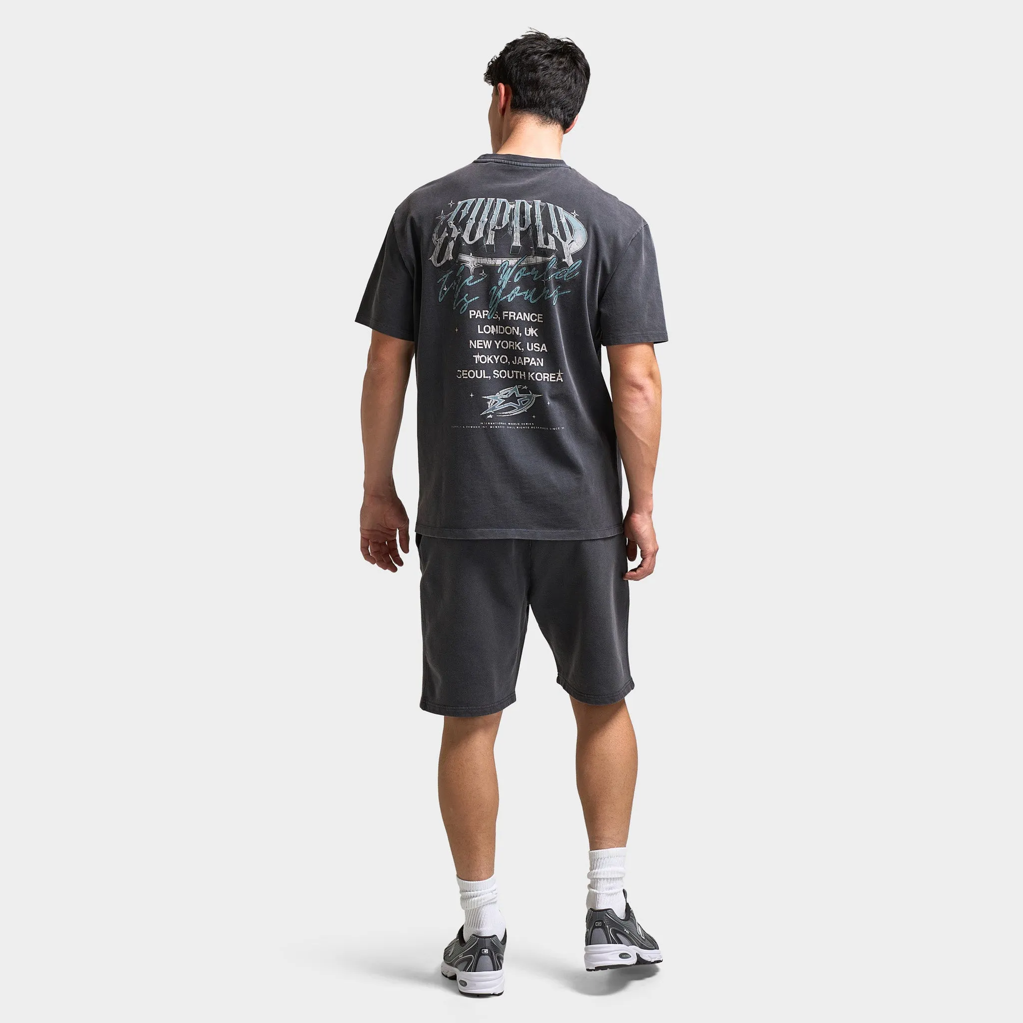 Supply & Demand Chrome Star Graphic T-Shirt / Washed Black