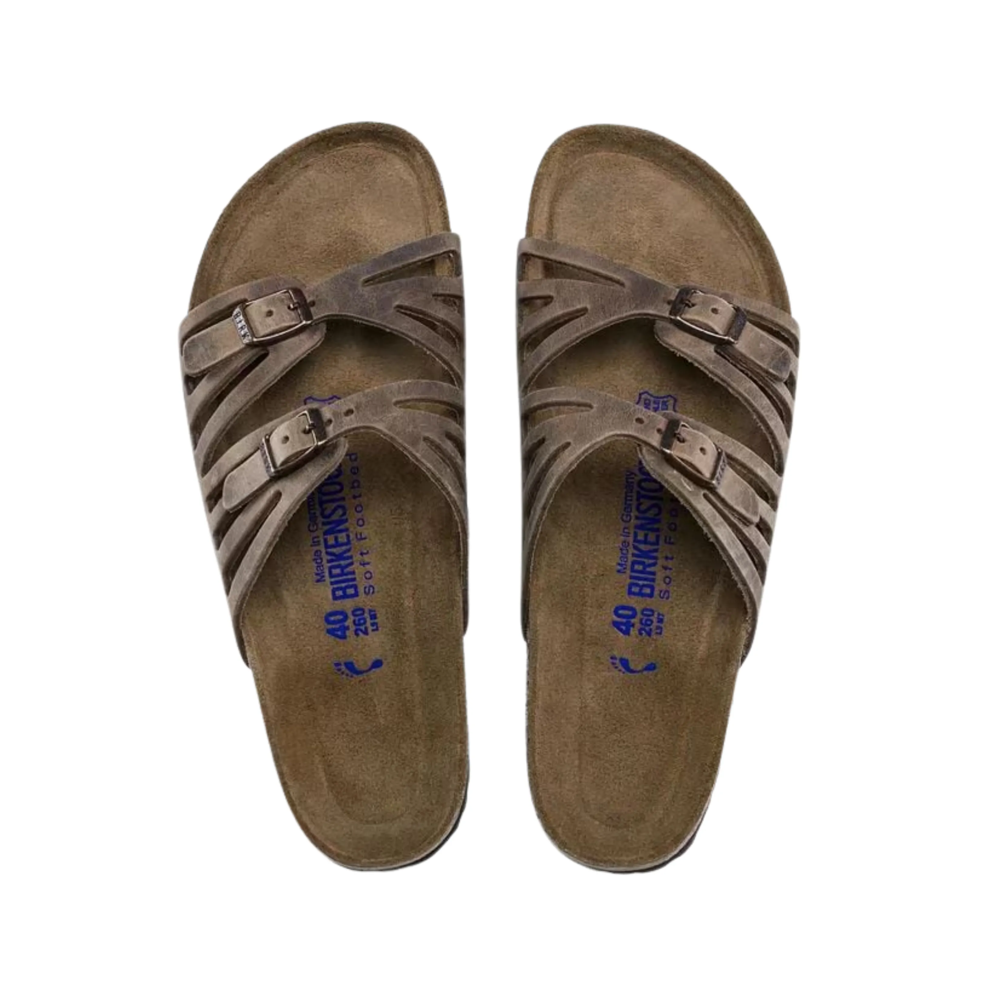 Women's Granada Soft Footbed (Oiled Leather) - Tobacco Brown